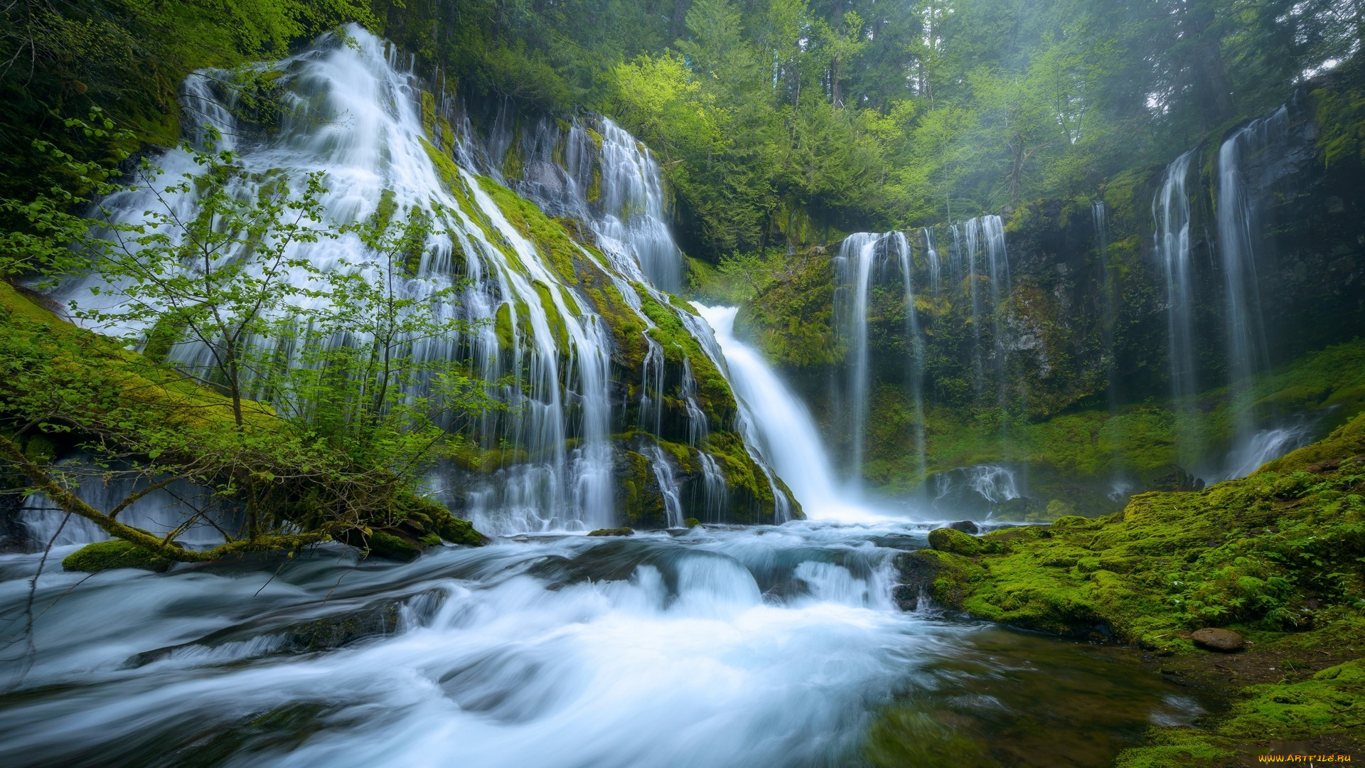 panther creek falls, columbia river gorge, washington, , , panther, creek, falls, columbia, river, gorge